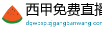 西甲免费直播观看